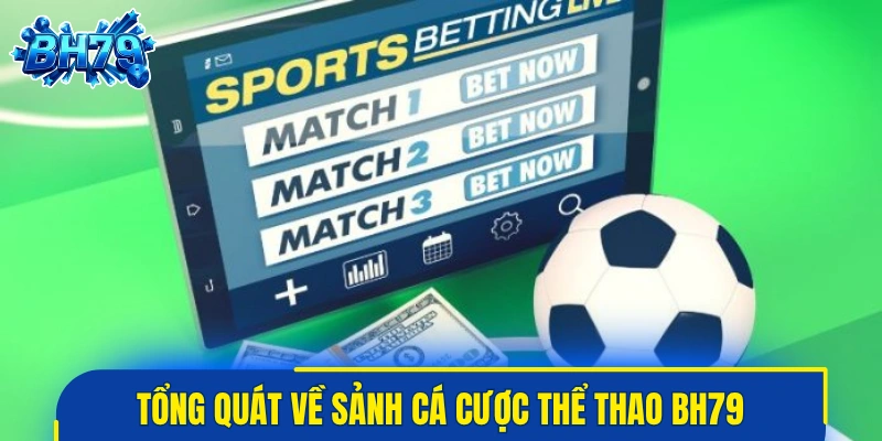 Tổng quát về sảnh cá cược thể thao BH79